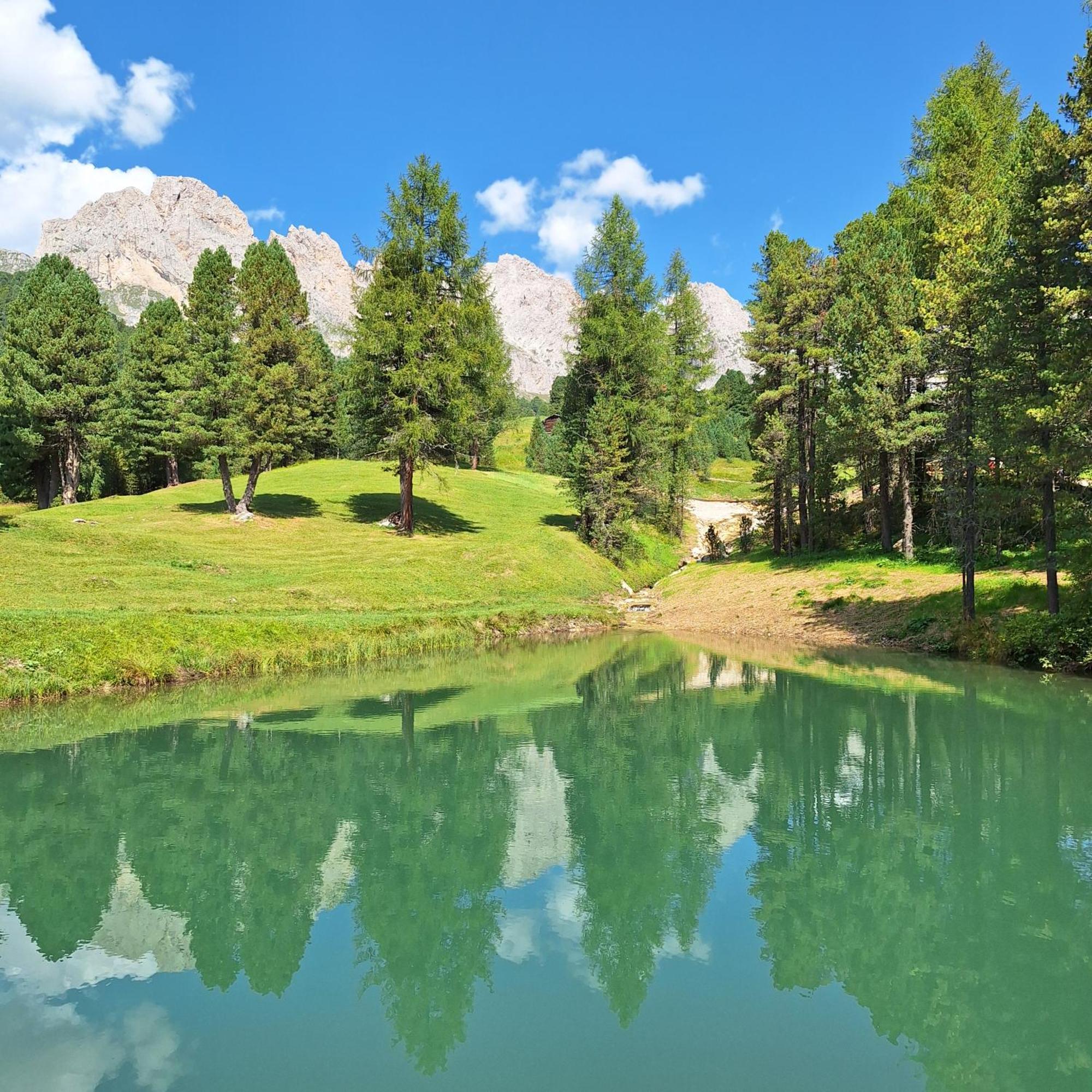 Apartment Romana Selva di Val Gardena Bagian luar foto