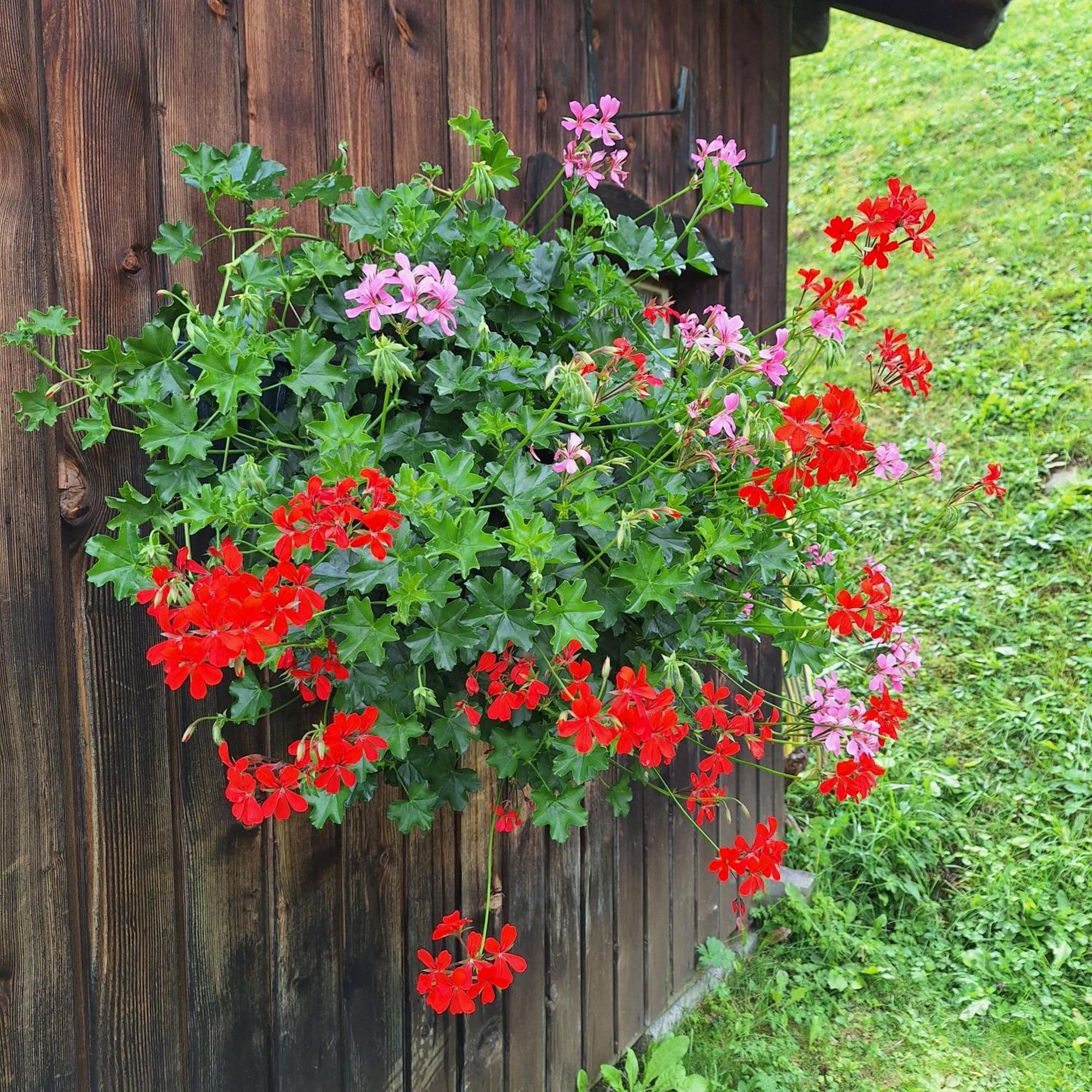 Apartment Romana Selva di Val Gardena Bagian luar foto